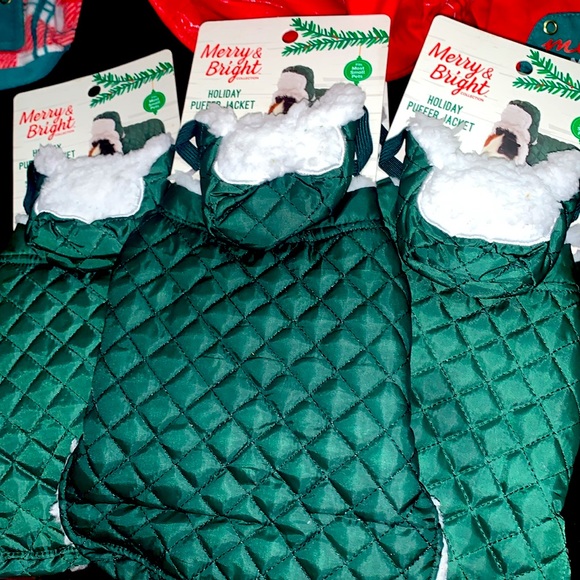 Guinea Pig Clothes - Picture 2 of 4